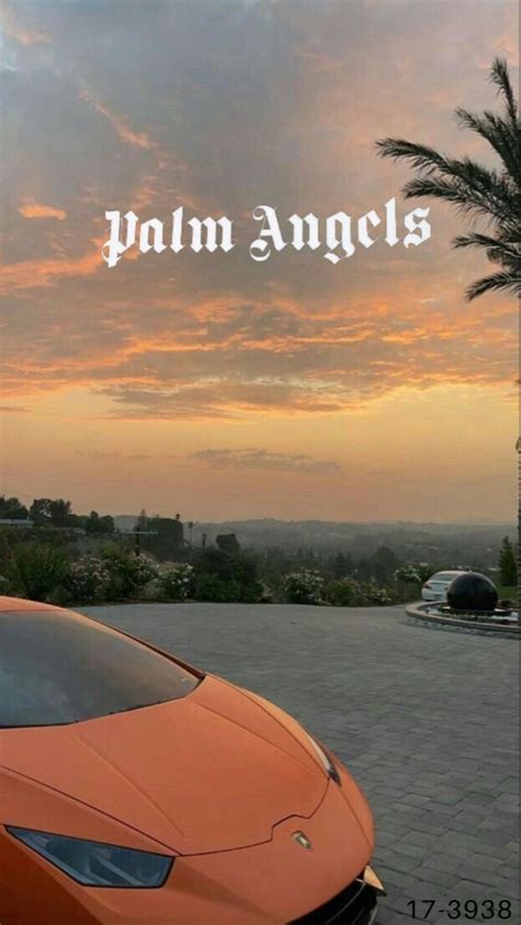 palm angels lambo.